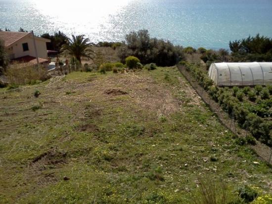 Terreno agricolo  con vista mare in vendita a Licata